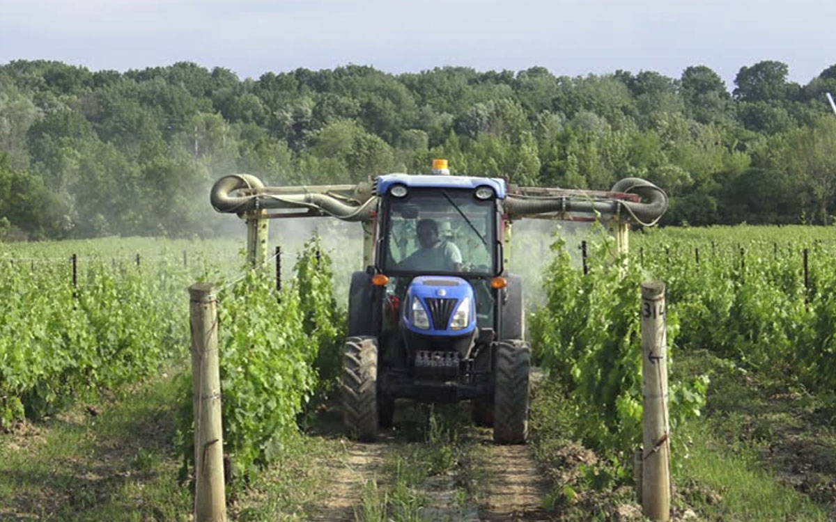 tractor in vineyard