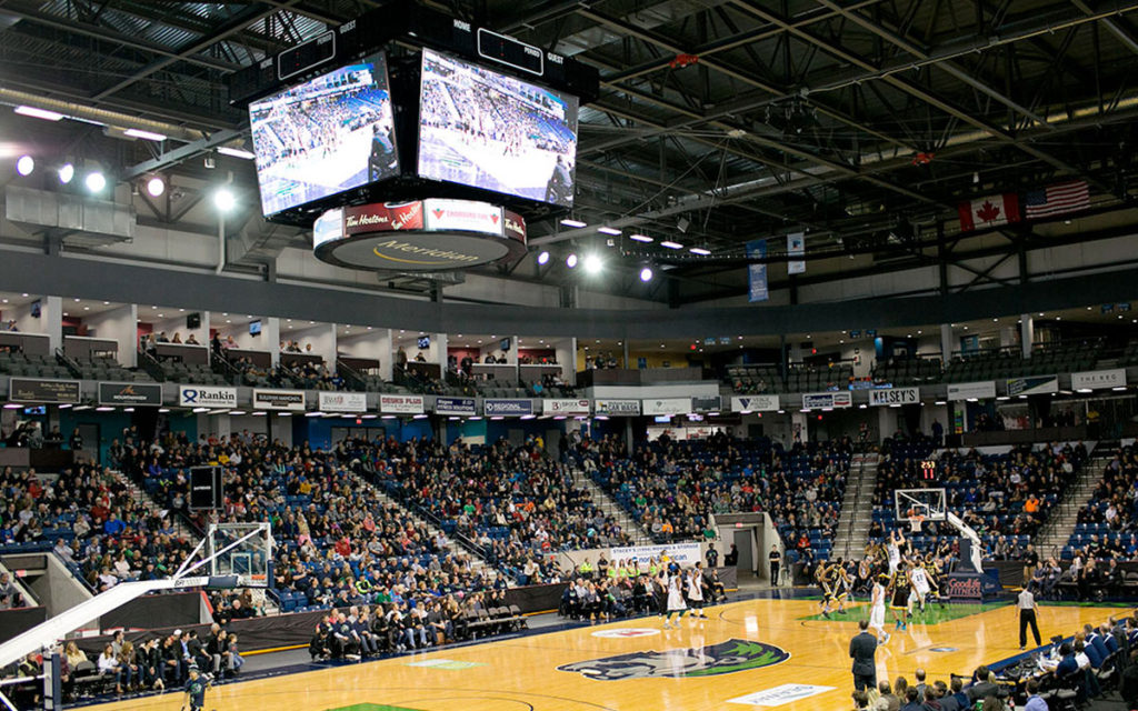 Niagara River Lions - Canadian Professional Basketball Team