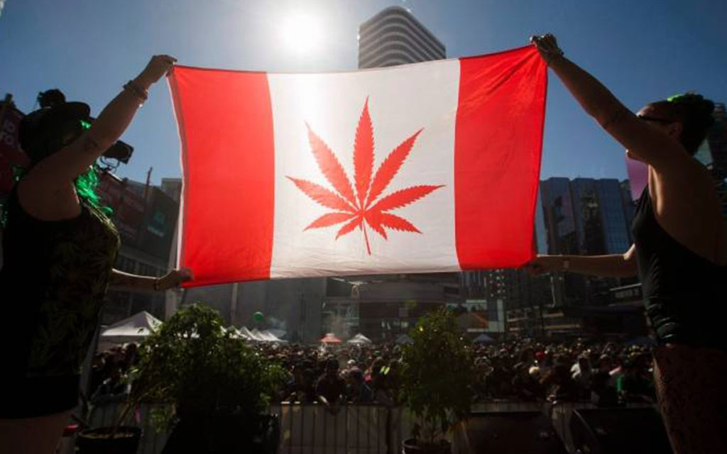 cannabis flag