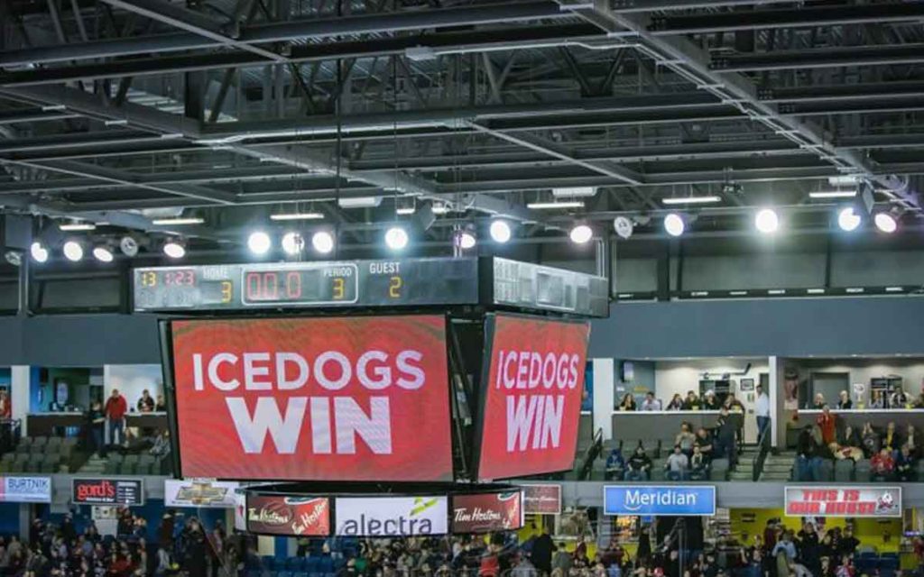 ice dogs win