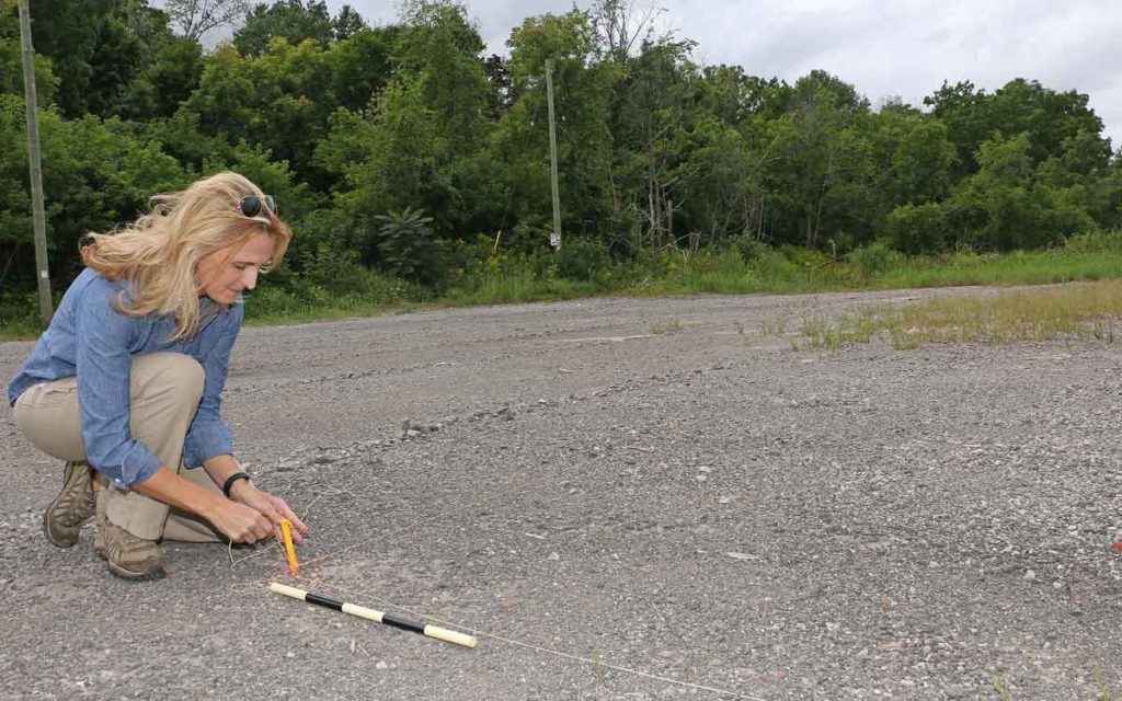 Professor Kimberly Monk of Brock University takes measurements 