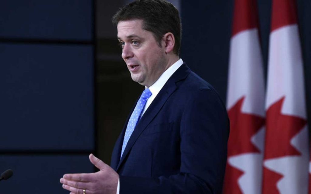 scheer