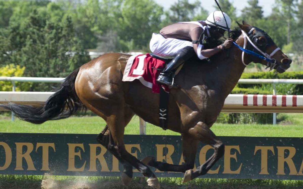 fort erie racetrack