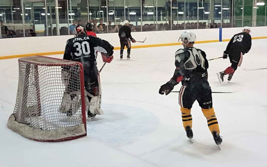 ice dogs training camp