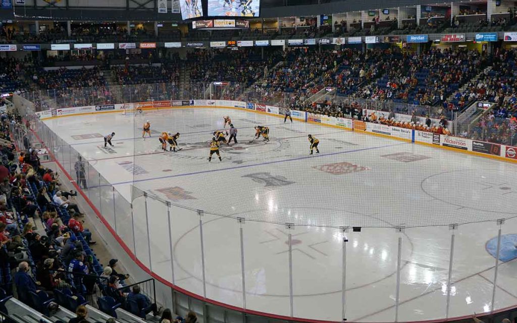 ice dogs playing hocking in the meridian centre