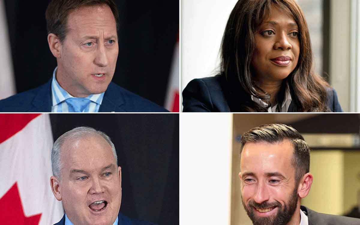 conservative leadership candidates