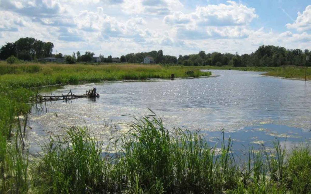 npca wetland