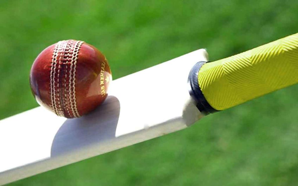 cricket stick and ball