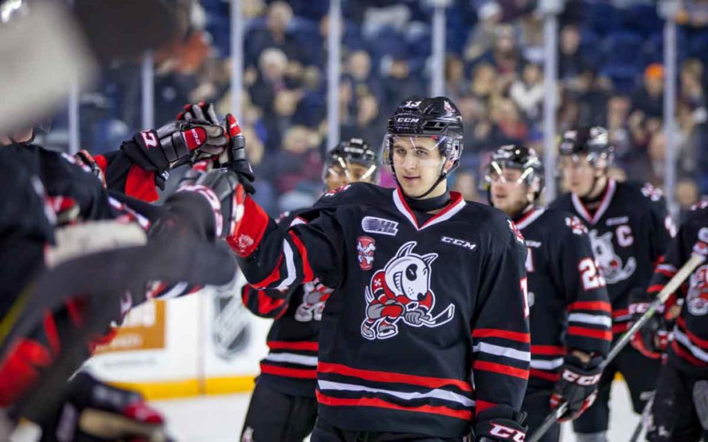 ice dogs players on ice