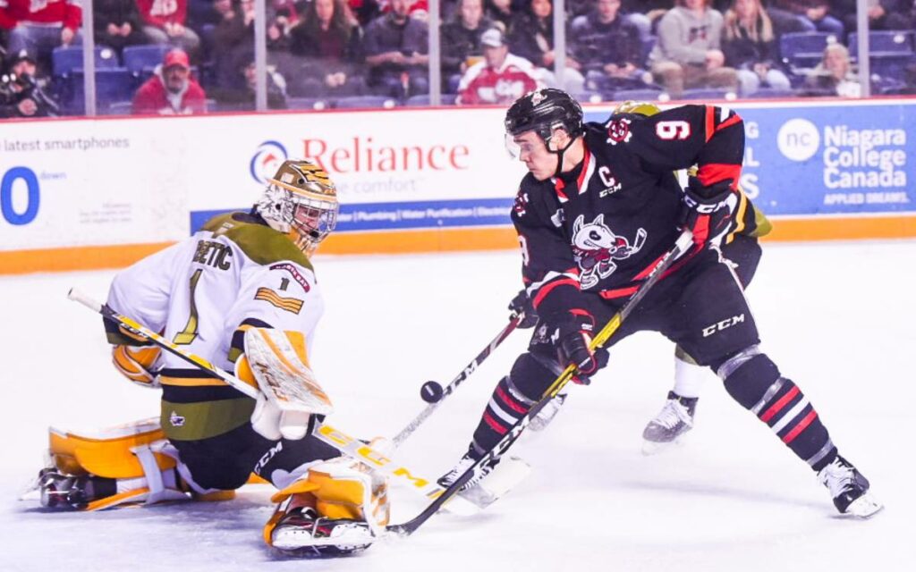 icedogs player shooting on net