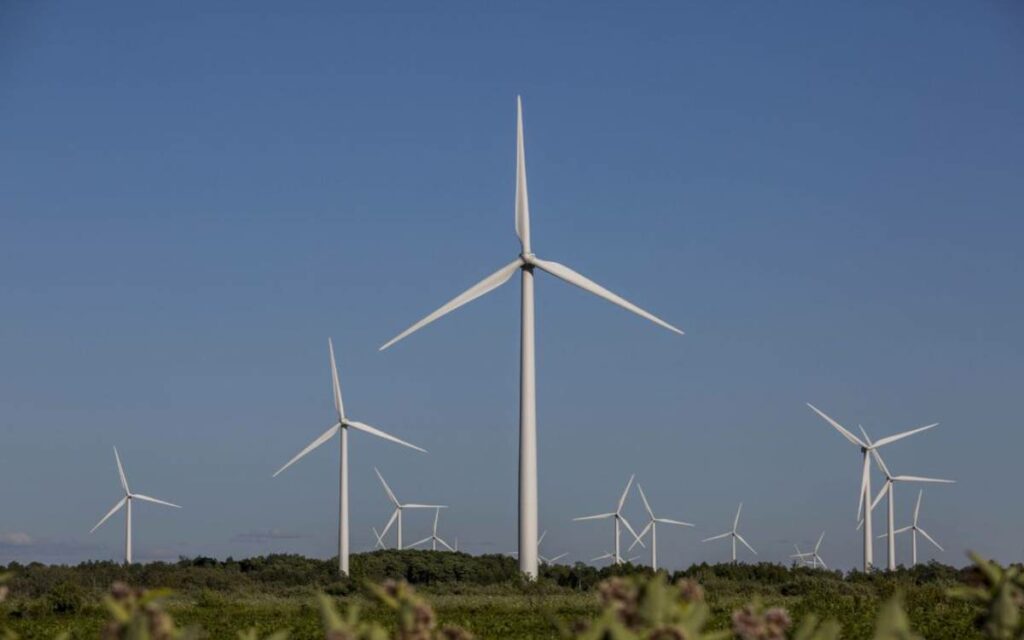 wind turbines in a field