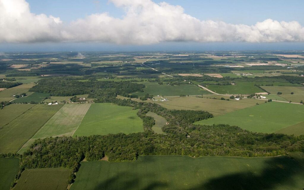 overhead shot of some fields