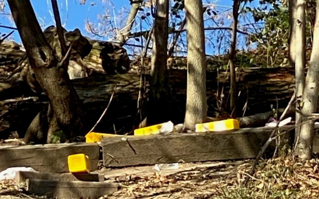 sharps containers in park