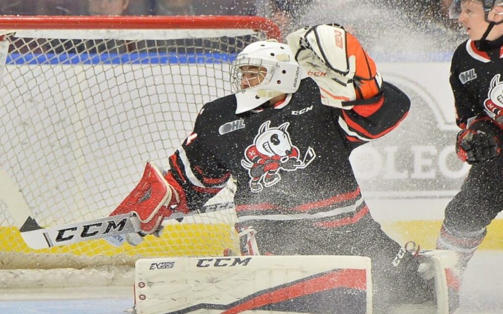 ice dogs goalie