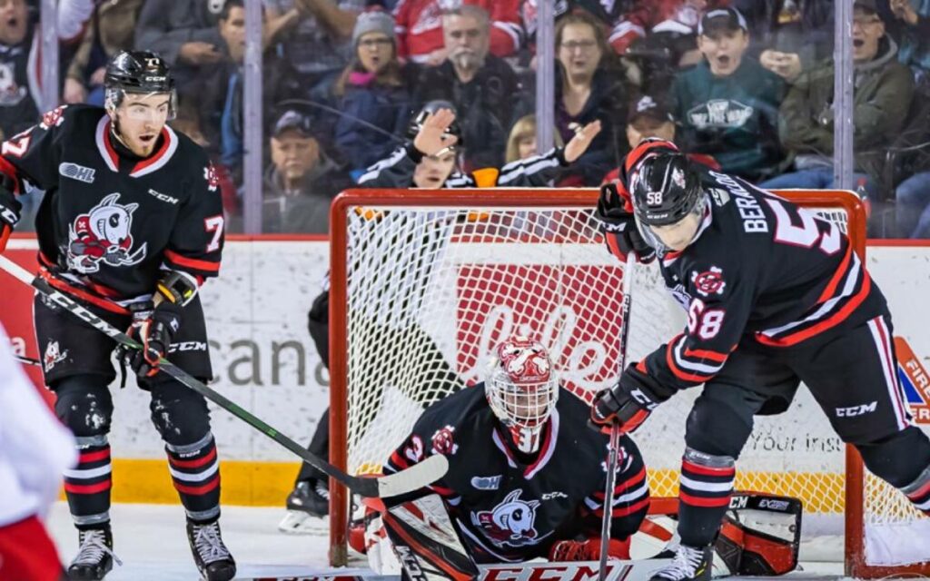 Ice Dogs playing hockey