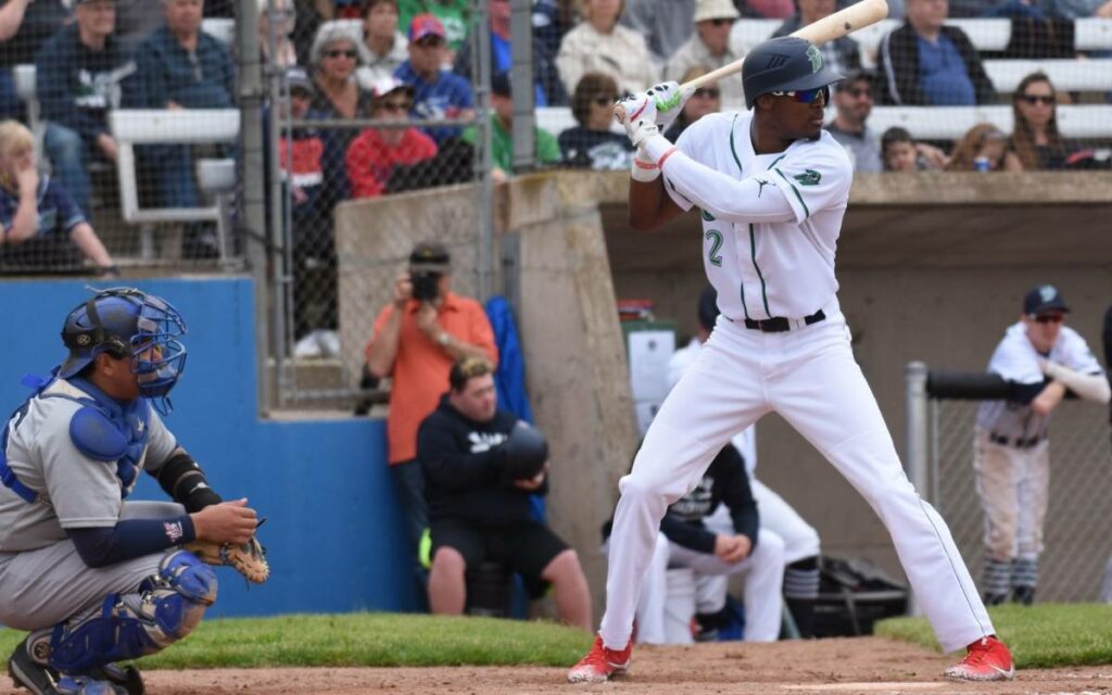 Jackfish at bat