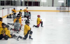 Golden Horseshoe Hockey School enters 40th year