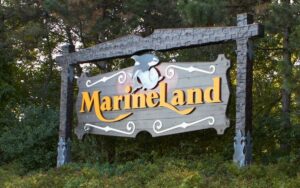 Marineland denies any wrongdoing related to care of black bear cubs