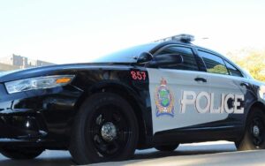 Two back-to-back theft cases in Wainfleet